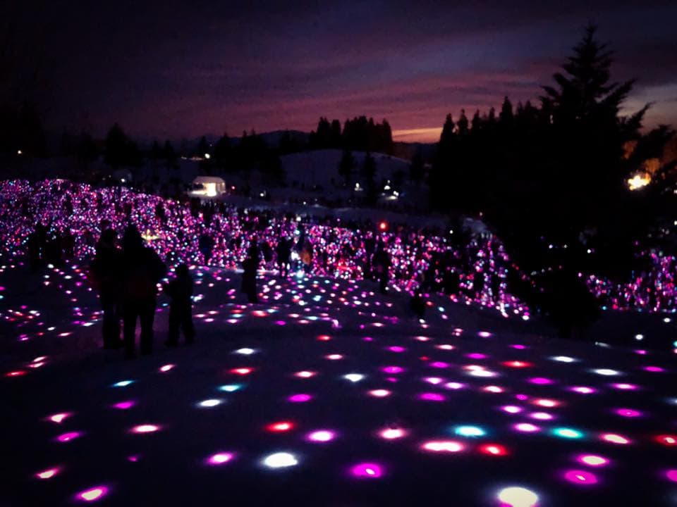 大地の芸術祭と北川フラム氏 - Image 7